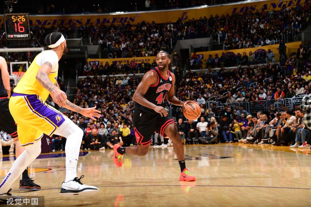 多样性并不 多样性并不